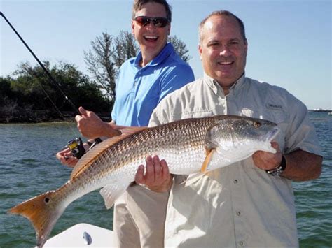 Tampa Inshore Fishing .